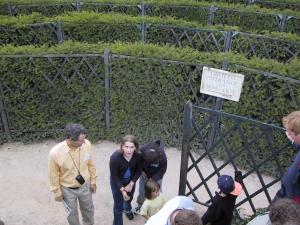103-0327 IMG