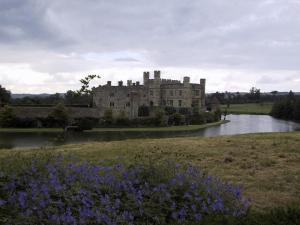 103-0328 IMG