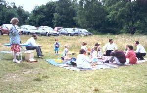 group picnic 88