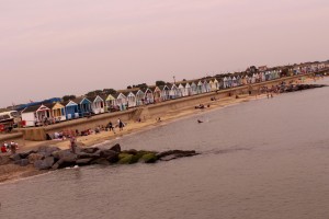 IMG 7069
