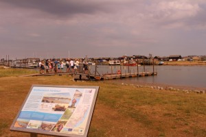 IMG 7071