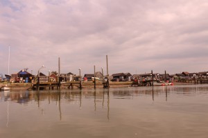 IMG 7081
