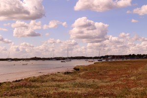IMG 7106