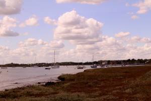 IMG 7108