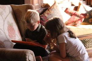IMG 7381