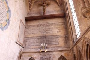 IMG 7479