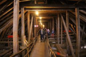 IMG 7484