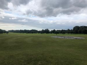 IMG 0572