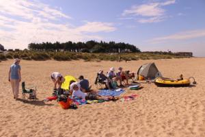 IMG 8884