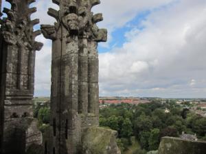 IMG 6586