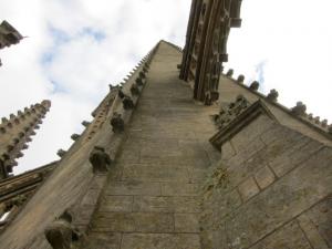 IMG 6588