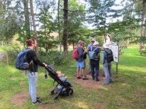 IMG 6590